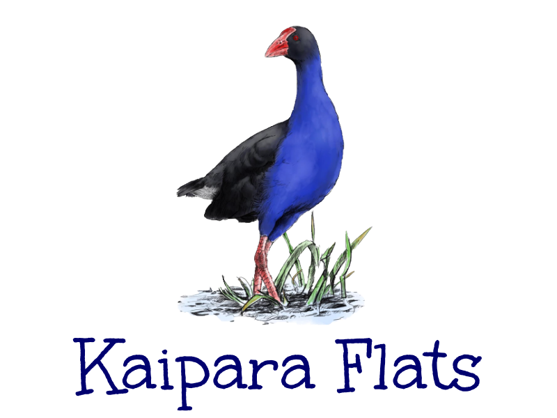 Kaipara Flats